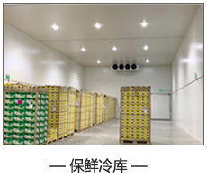保鮮冷庫.jpg 保鮮冷庫.jpg