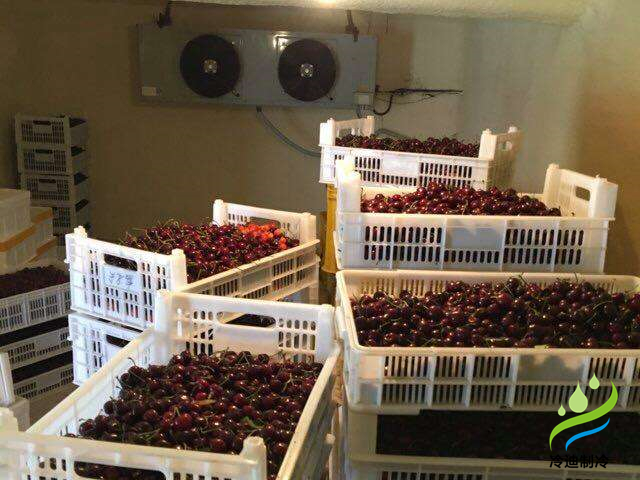 建設(shè)50噸車?yán)遄颖ｕr氣調(diào)冷庫造價多少錢？