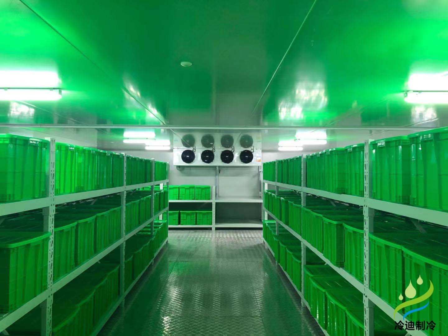 在河北安裝一個冷庫需要多少錢？