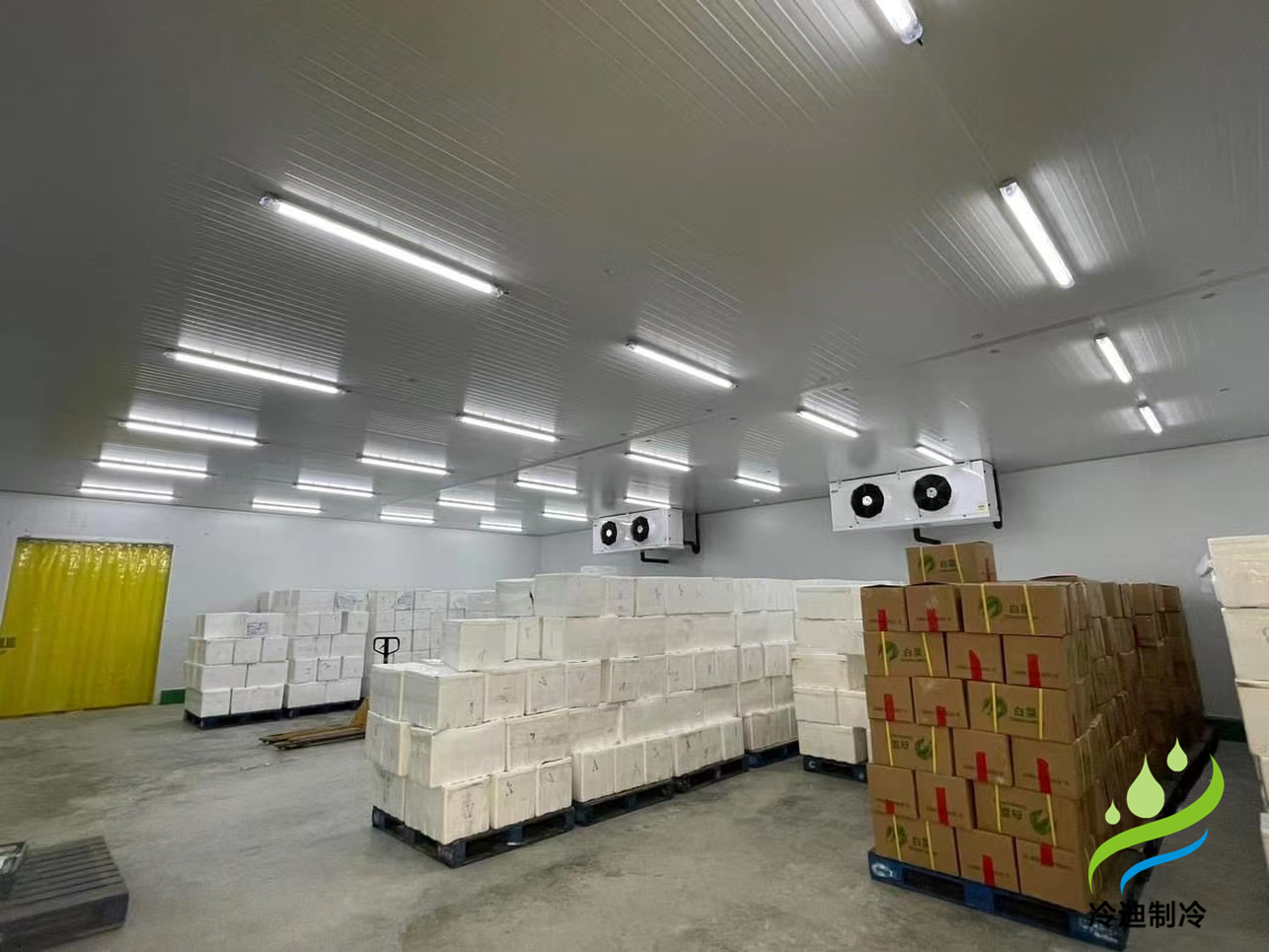 建造1000平方果蔬保鮮冷庫造價多少錢？