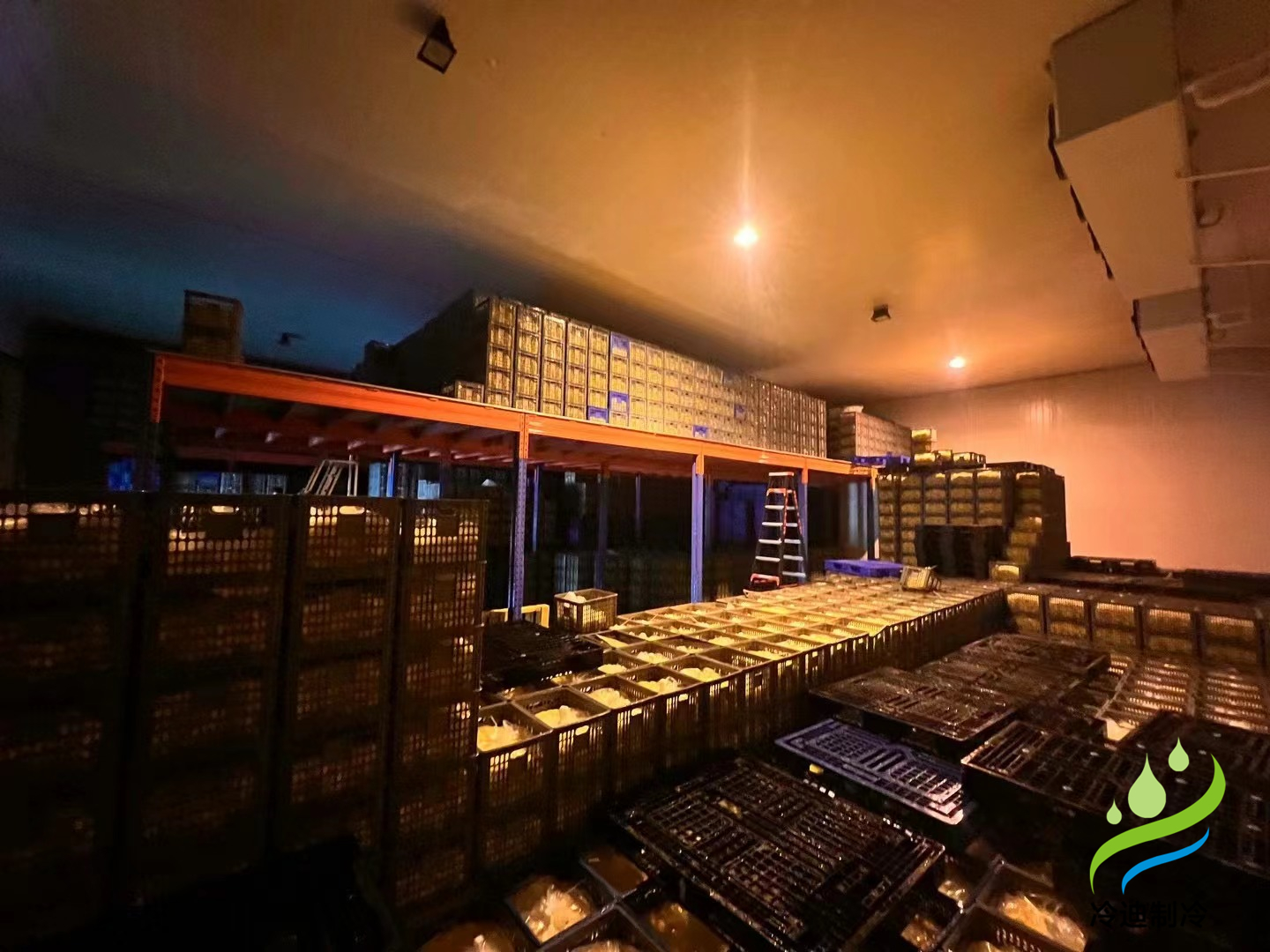 建造一個(gè)1000噸禽蛋類(lèi)冷藏庫(kù)的成本是多少？