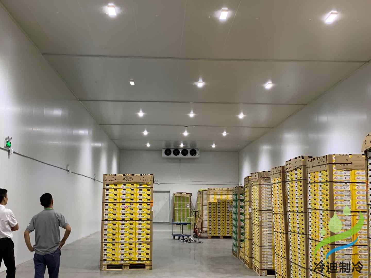 建造100平方棗子保鮮冷庫造價多少錢？