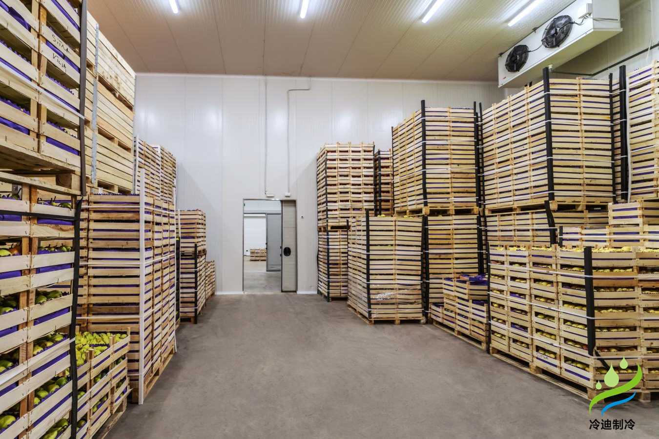 不同規(guī)模保鮮冷庫造價榜單，保鮮冷庫耗電量表