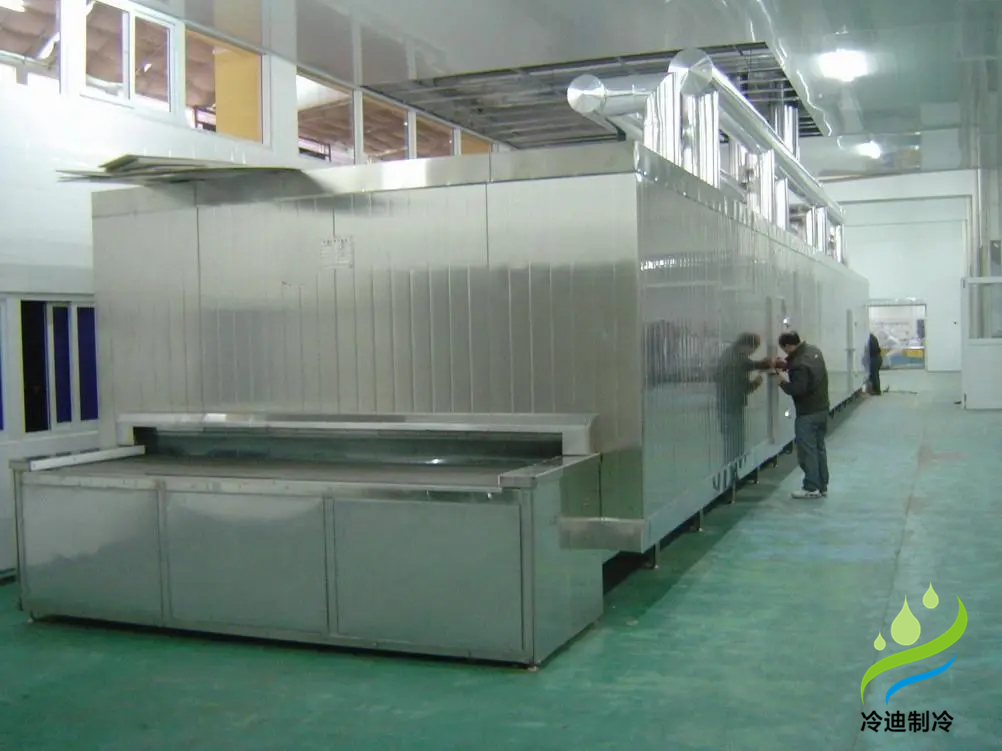 安裝一條速凍隧道大概需要花多少錢？