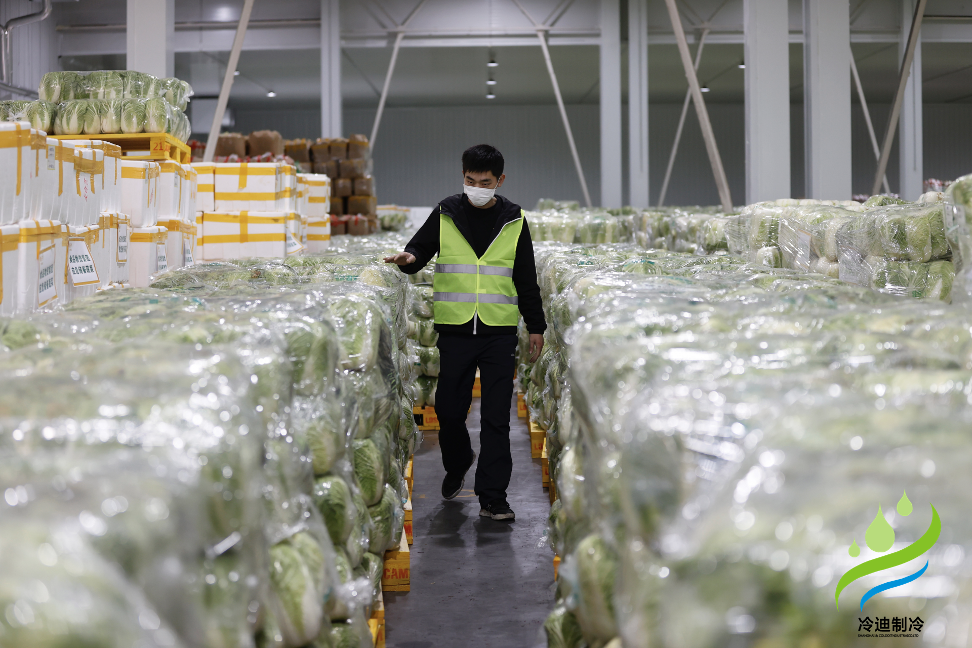 安裝一個生鮮冷鏈冷庫需要多少錢？(圖2)