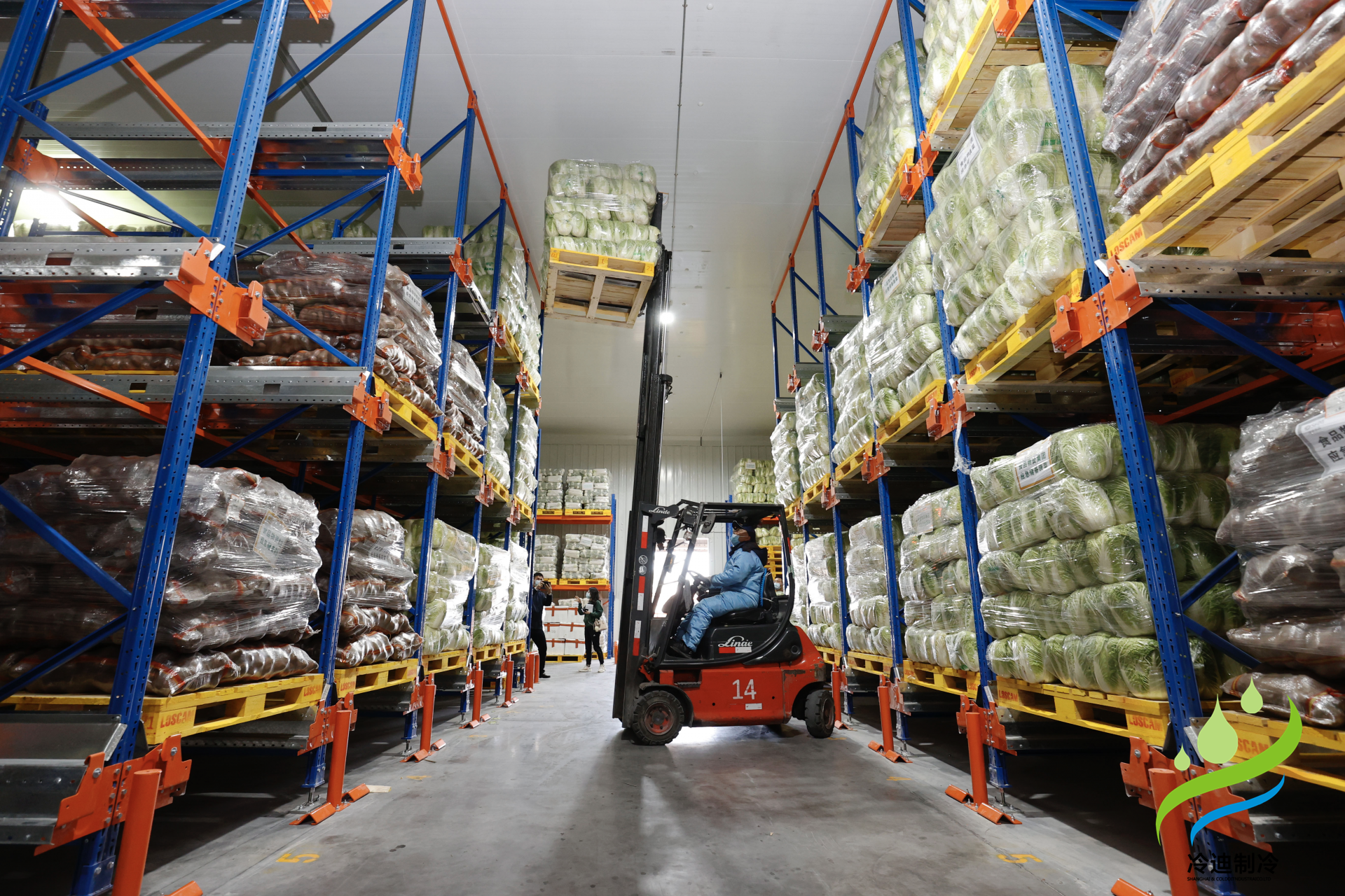 建造一個(gè)預(yù)冷冷庫需要多少錢？(圖2)