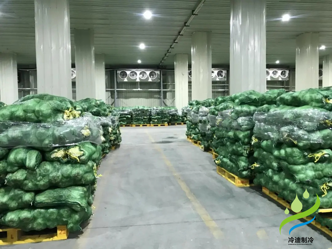 建造根莖類(lèi)蔬菜冷藏庫(kù)需要多少錢(qián)?(圖1)